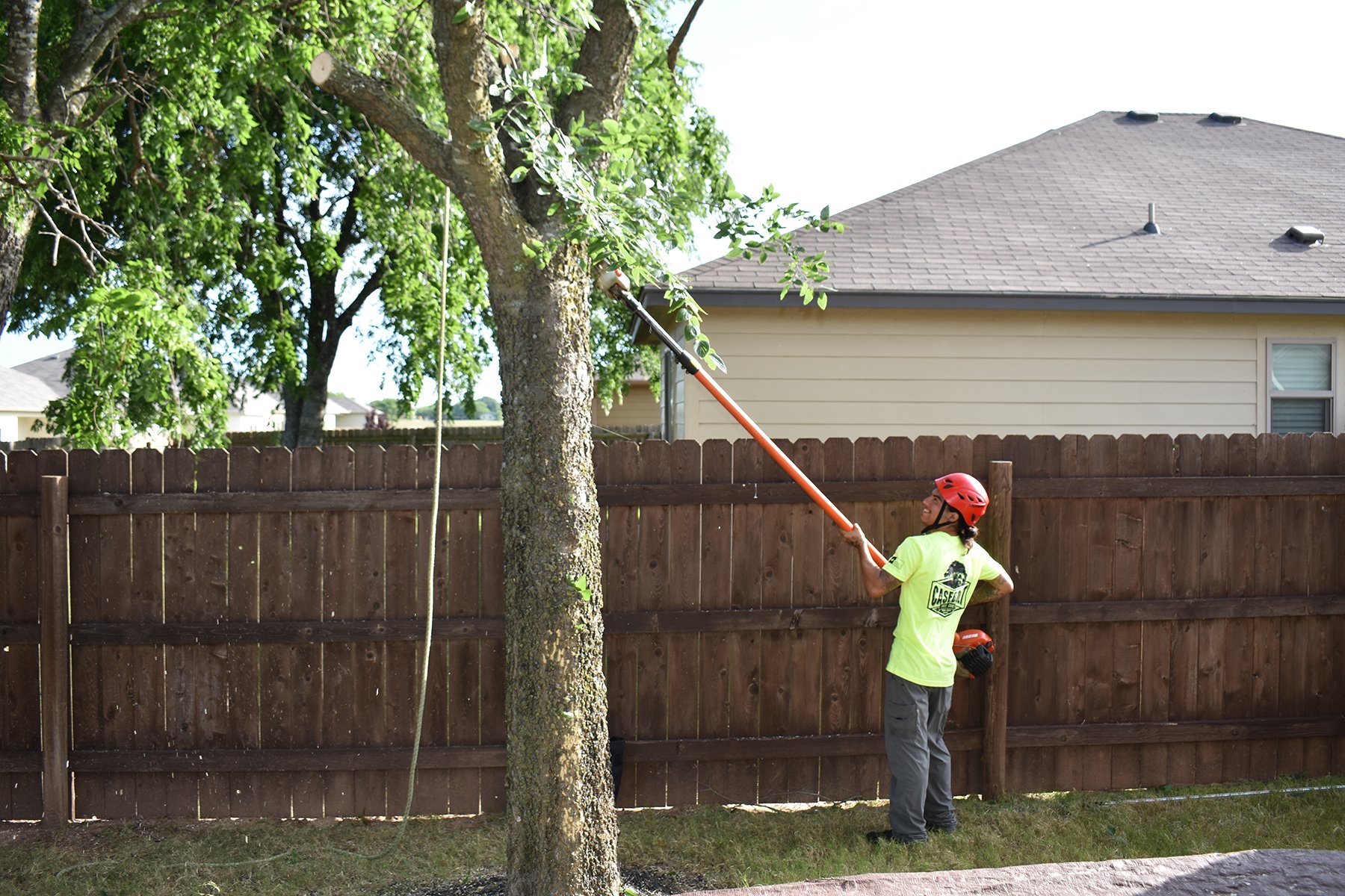 Casebolt Tree care employee trimming trees in Temple / Belton TX