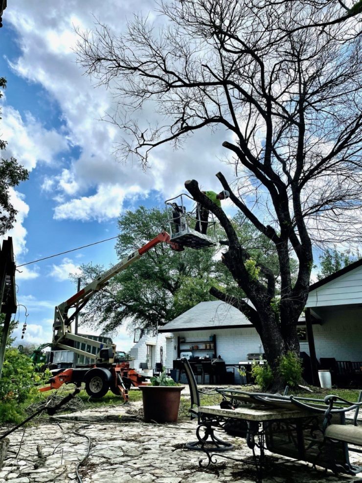 Casebolt Tree Care workers performing a tree removal in front of a house in Belton, TX.
